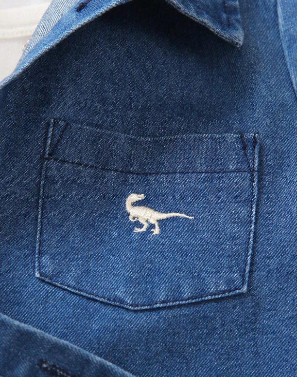 Conjunto De Camisa Y Shorts Bordados Con Dinosaurio