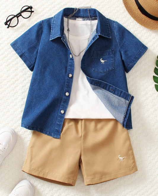 Conjunto De Camisa Y Shorts Bordados Con Dinosaurio